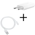 PACKSEC-IP5 - Chargeur iPhone 7 en 2 parties avec câble + prise secteur USB coloris blanc