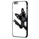 CPRN1IPHONE6CHIENVBLAN - Coque noire iPhone 6 motif chien à lunettes sur fond blanc