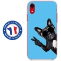 TPU0IPXRCHIENVBLEU - Coque souple pour Apple iPhone XR avec impression Motifs chien à lunettes sur fond bleu