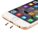 VIS-IP6-GOLD - Lot de deux vis pour iPhone 6 et iPhone 6 Plus coloris gold