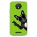 TPU0MOTOCPLUSCHIENVVERT - Coque souple pour Motorola Moto C Plus avec impression Motifs chien à lunettes sur fond vert