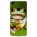 TPU0P8LITE17GRENOUILLE - Coque souple pour Huawei P8 Lite 2017 avec impression Motifs grenouille